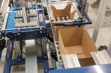 Case packer